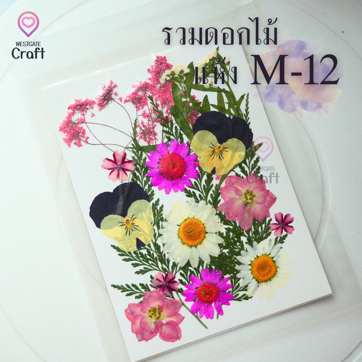 รวมดอกไม้แห้ง M ดอกไม้แห้งทับ ดอกไม้แบบคละ