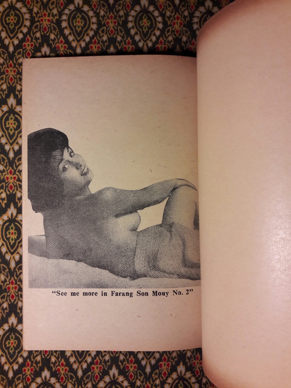 ฝาหรั่งสอนมวย