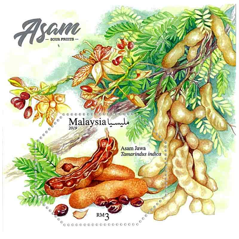 Malaysia Stamp, 2019 Sour Fruits S/S