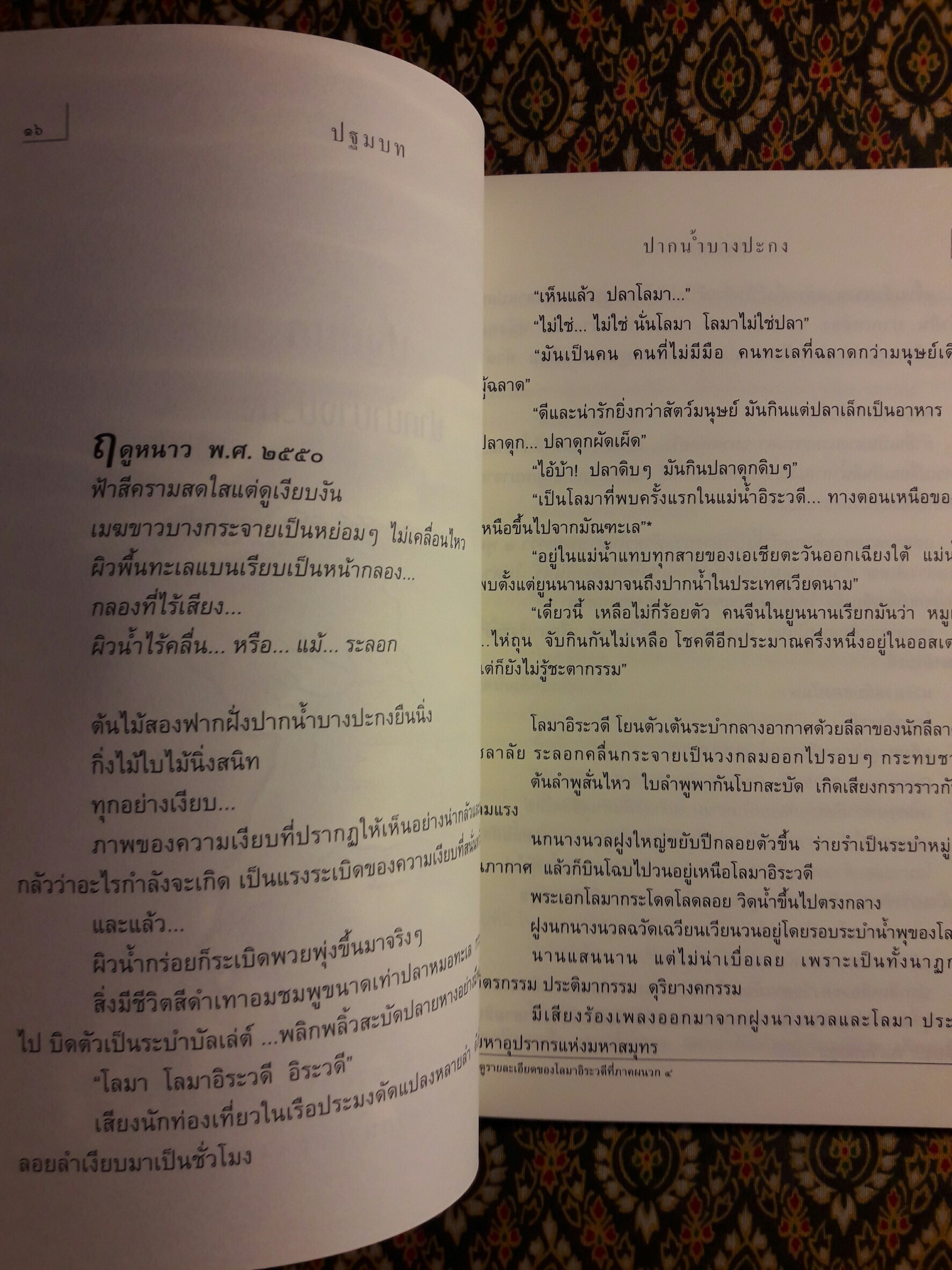นางนวลสิบสองปันนา โลมาอิระวดี