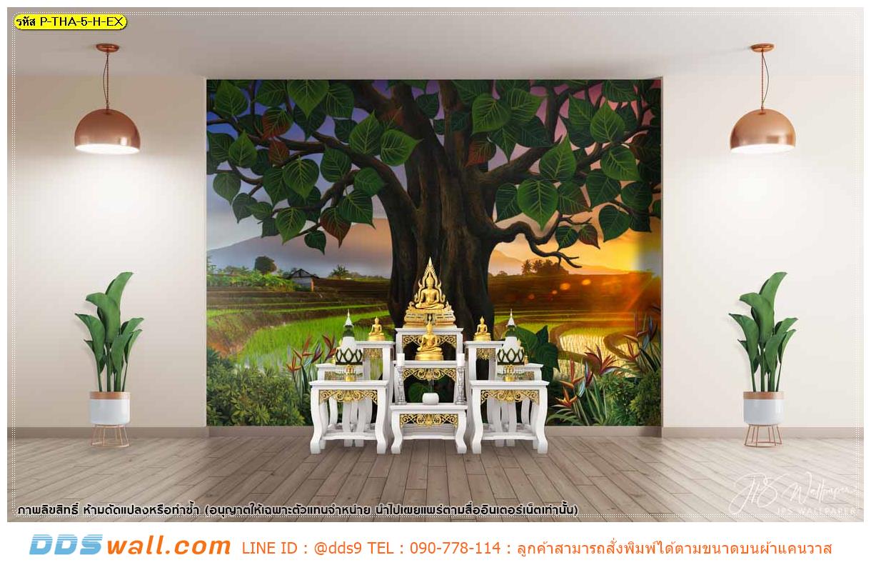 สั่งพิมพ์วอลเปเปอร์ติดผนัง ห้องพระสวยๆ ลายลิขสิทธิ์ภาพต้นโพธิ์ใหญ่พื้นหลังเป็นนาข้าว เงียบสงบ