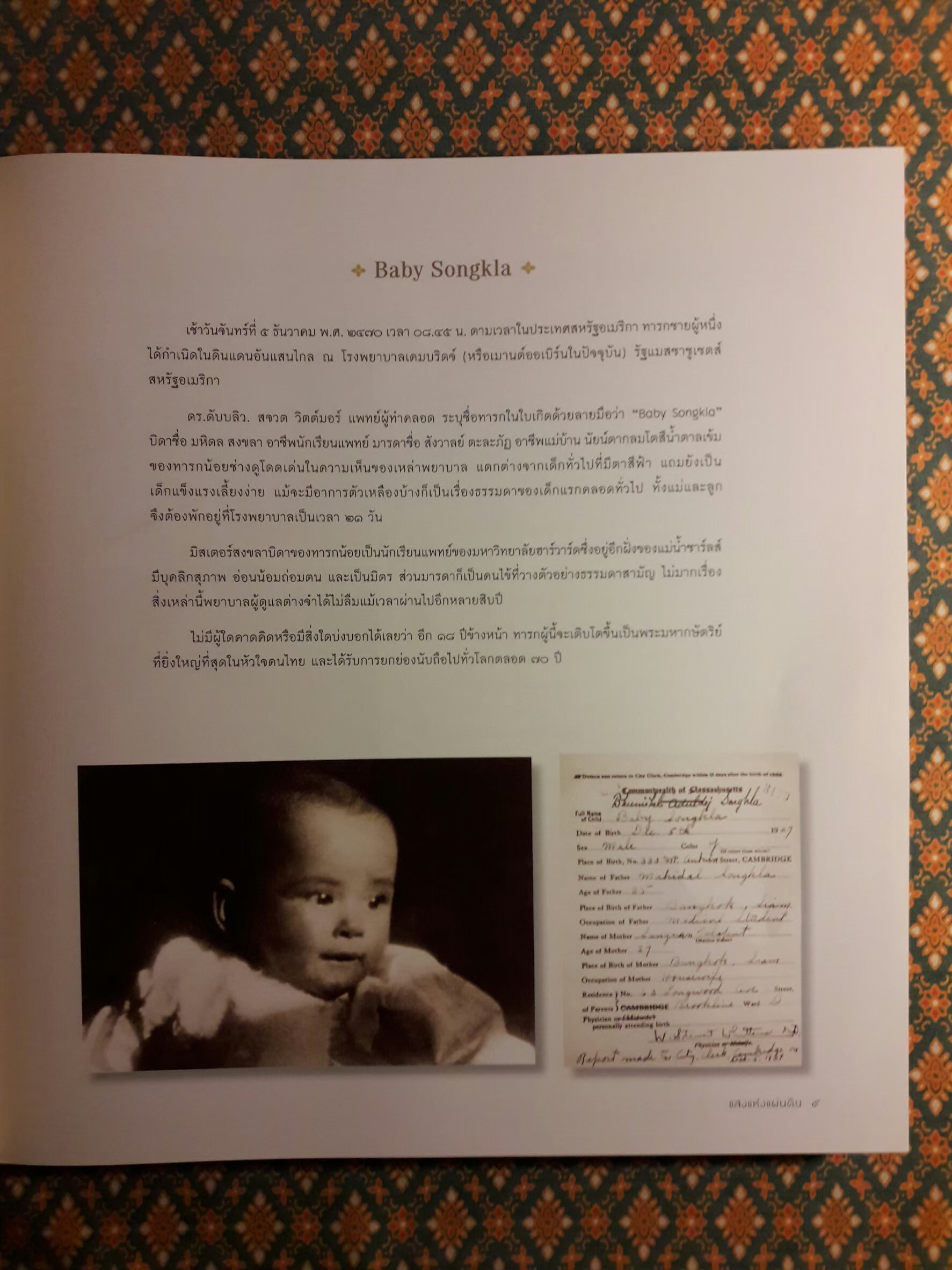 แสงแห่งแผ่นดิน