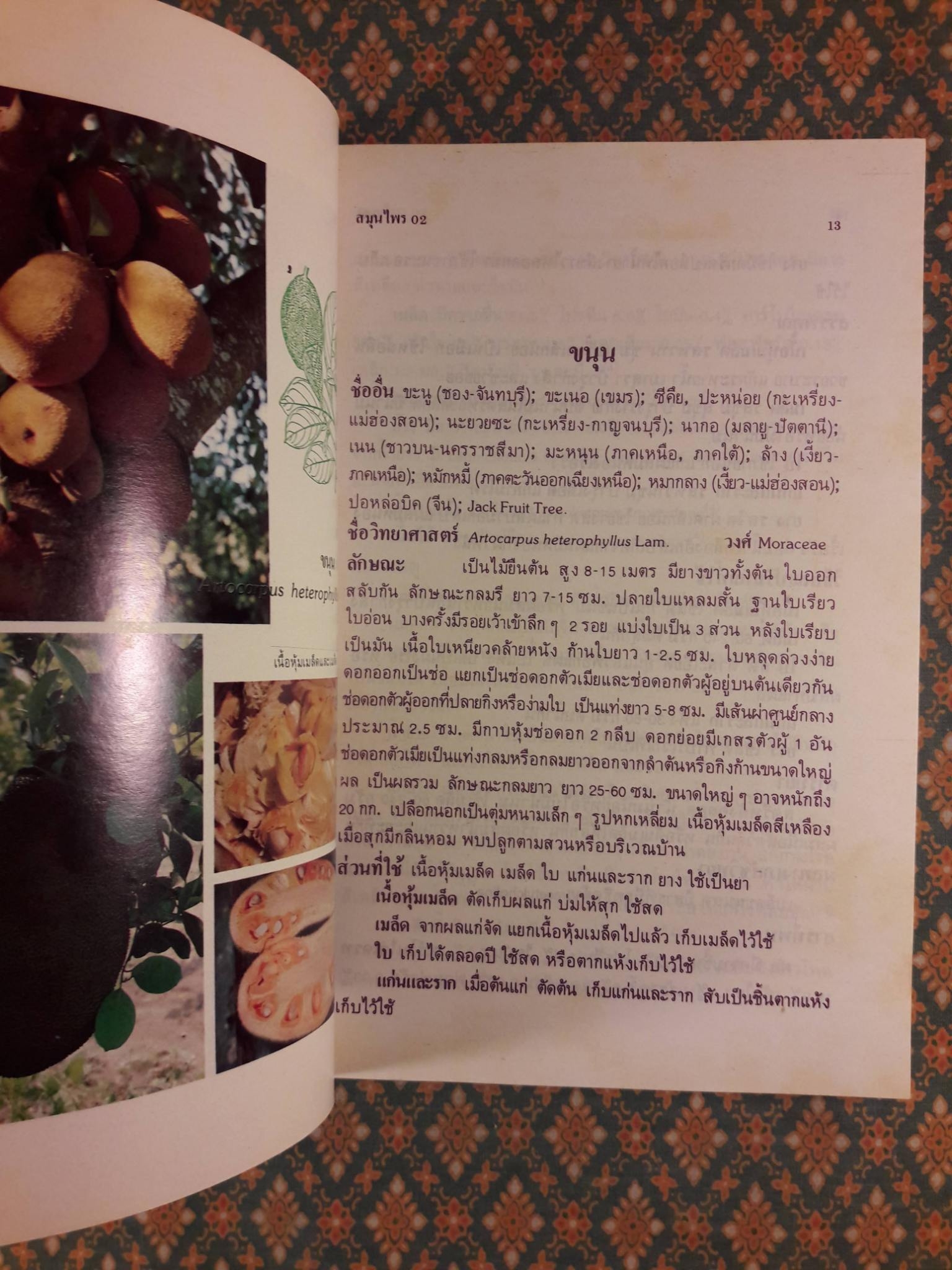 สมุนไพร อันดับที่ 02