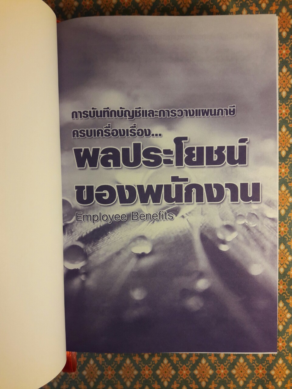 การบันทึกบัญชีและการวางแผนภาษีครบเครื่องเรื่องผลประโยชน์ของพนักงาน