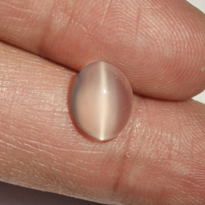 มูนสโตนตาแมว หรือ มุกดาหารตาแมว (Cat's eye Moonstone) 3.02 กะรัต สีขาว เนียน น่ารัก