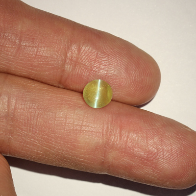คริสโซเบริลตาแมวหรือไพฑูรย์ (Cat's eye Chrysoberyl) 1.48 กะรัต เนื้อใส จากศรีลังกา