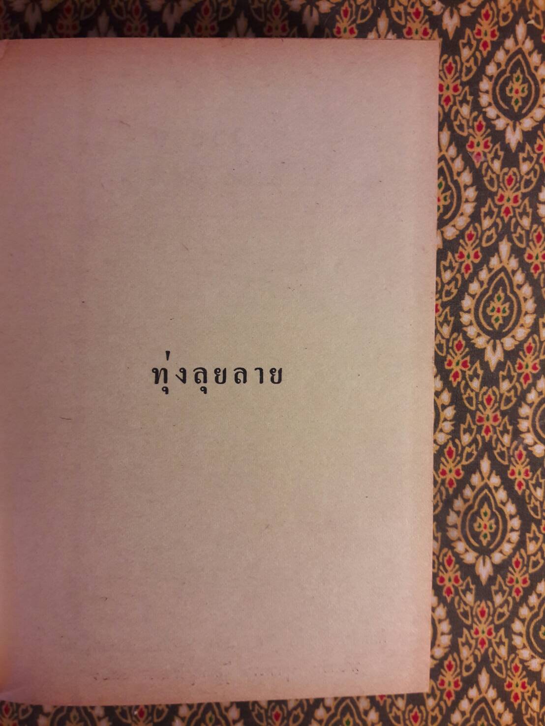 ทุ่งลุยลาย (2 เล่มจบ) “ภาคต่อชุมแพ”