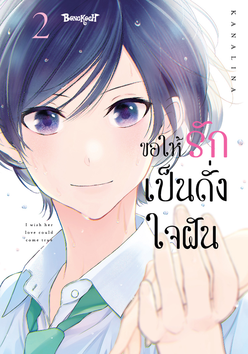 หนังสือการ์ตูนเรื่อง ขอให้รักเป็นดั่งใจฝัน เล่ม 2