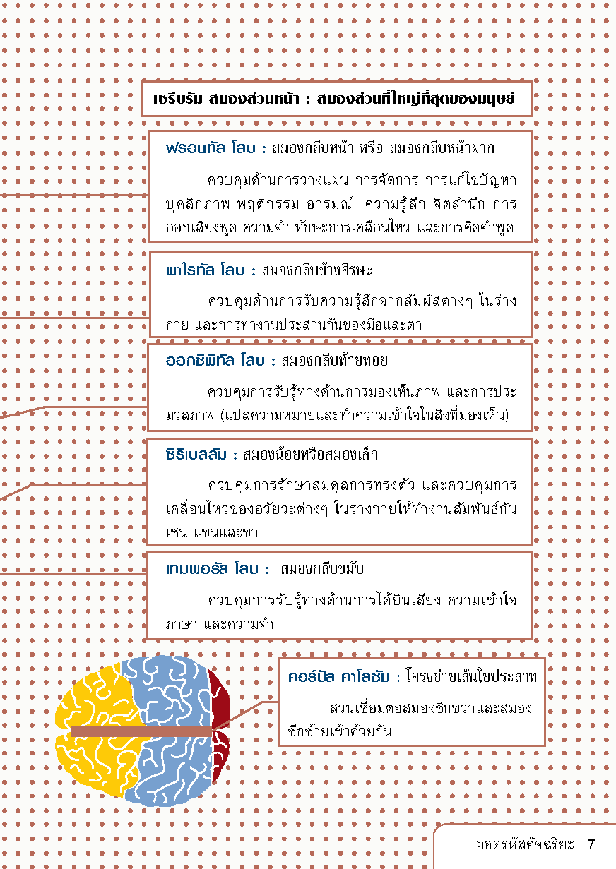 Expernet หนังสือ ถอดรหัสอัจฉริยะ [ เกรด B หนังสือมีตำหนิ ]