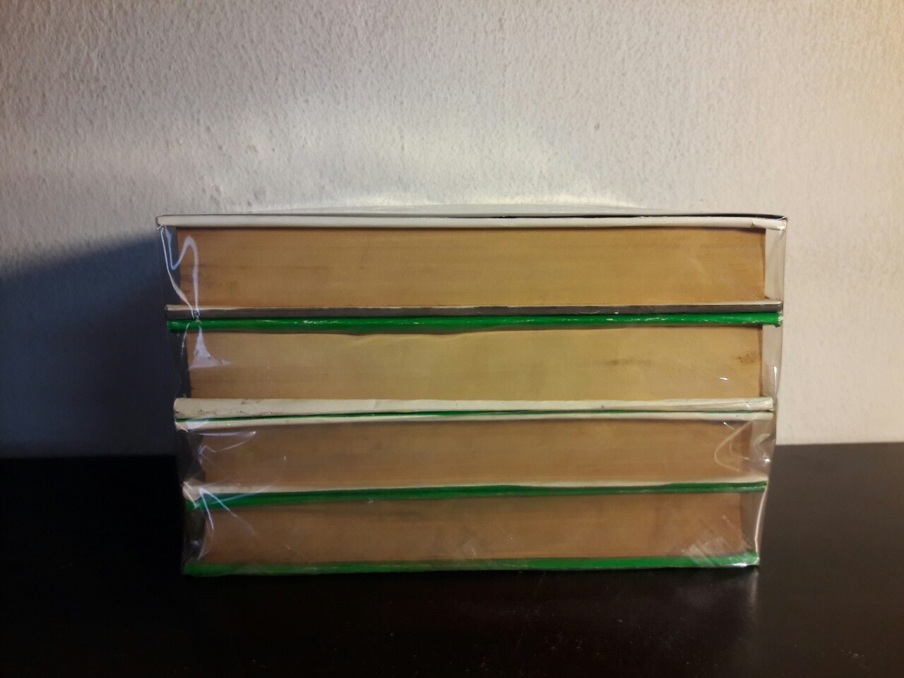 สกาวเดือน และรัศมีแข ภาคต่อสกาวเดือน (4 เล่มชุด)