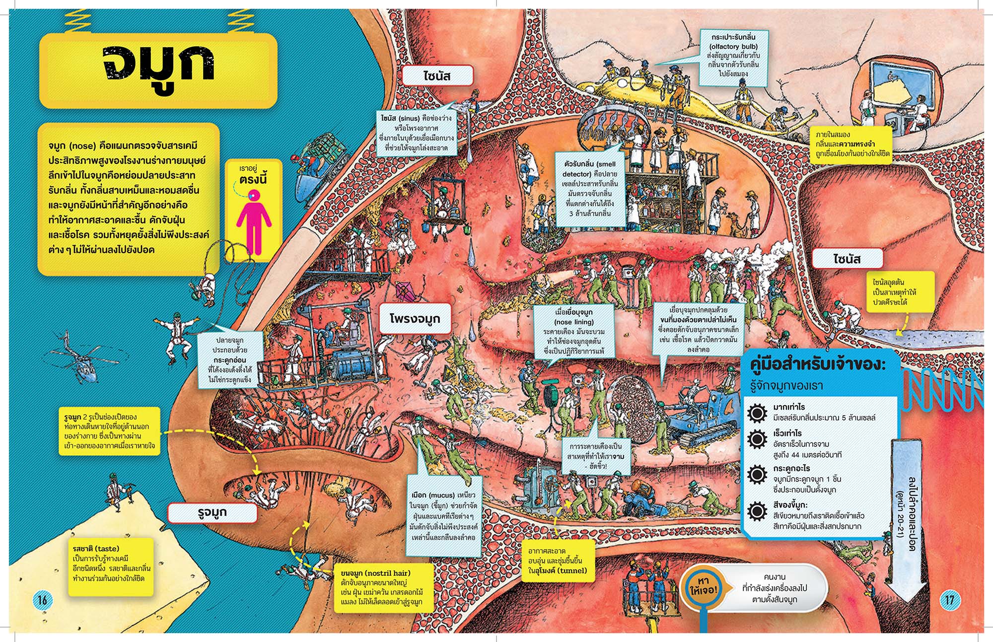 NANMEEBOOKS หนังสือ โรงงานร่างกายมนุษย์ : เสริมความรู้เยาวชน สารานุกรม