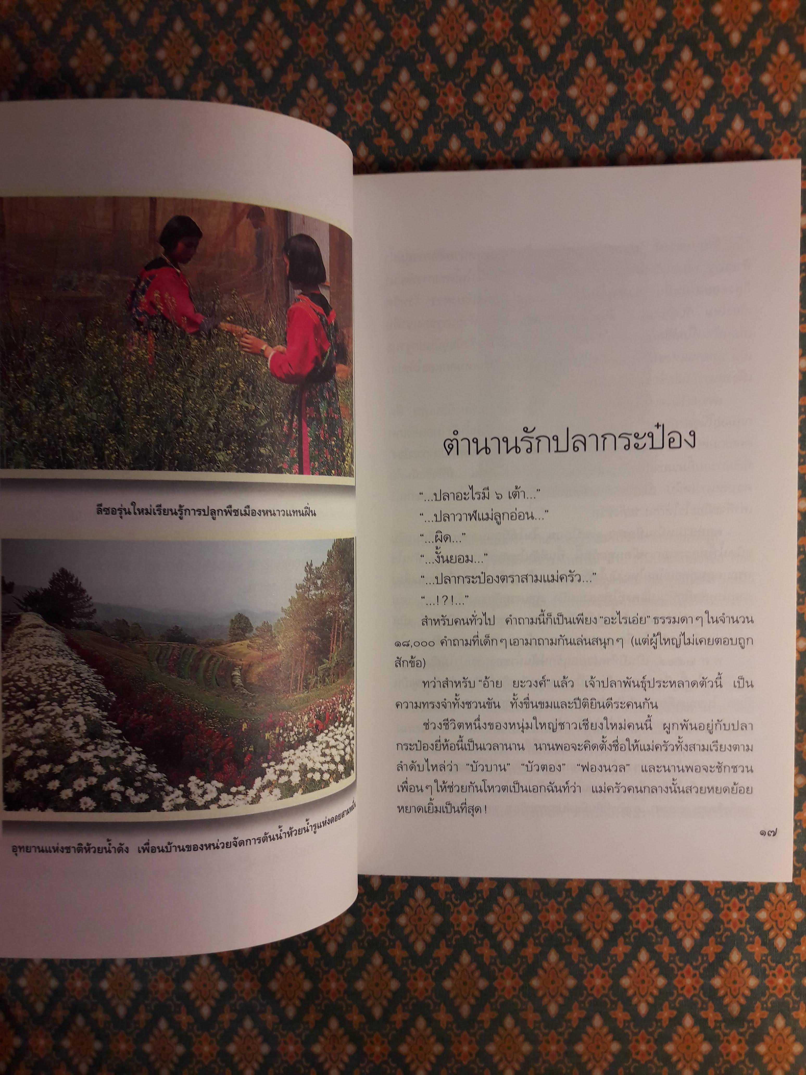 คนโยนฟืน