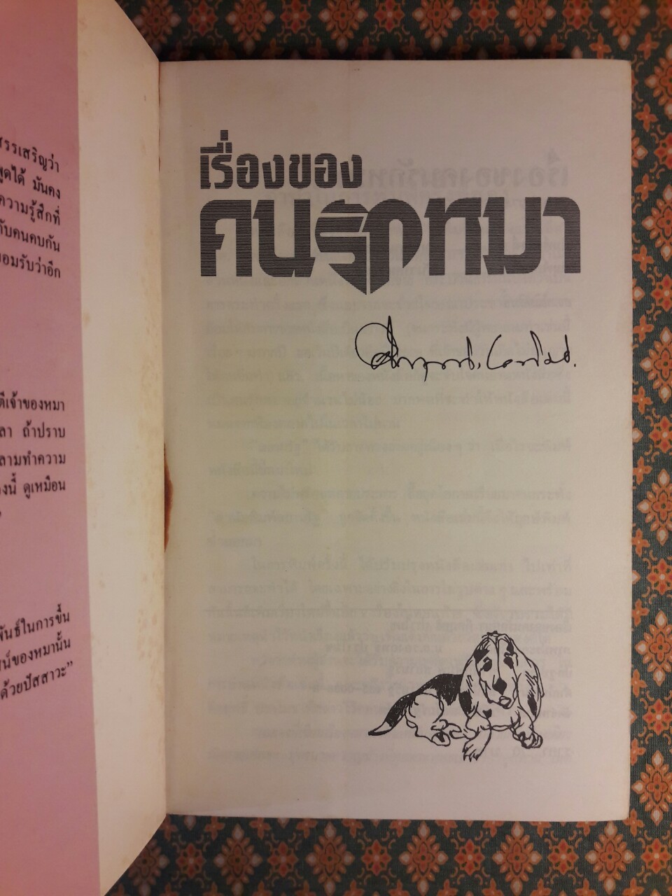 คนรักหมา