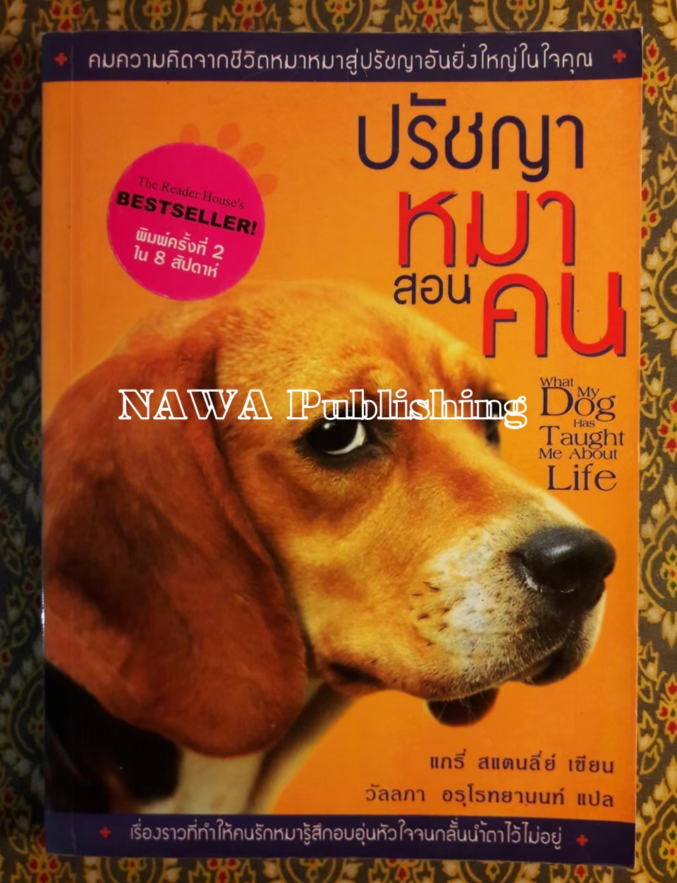 ปรัชญาหมาสอนคน