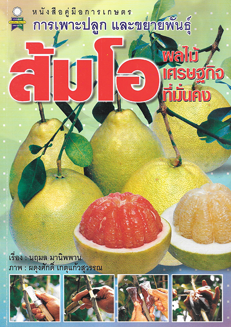 การเพาะปลูกและขยายพันธุ์ ส้มโอ