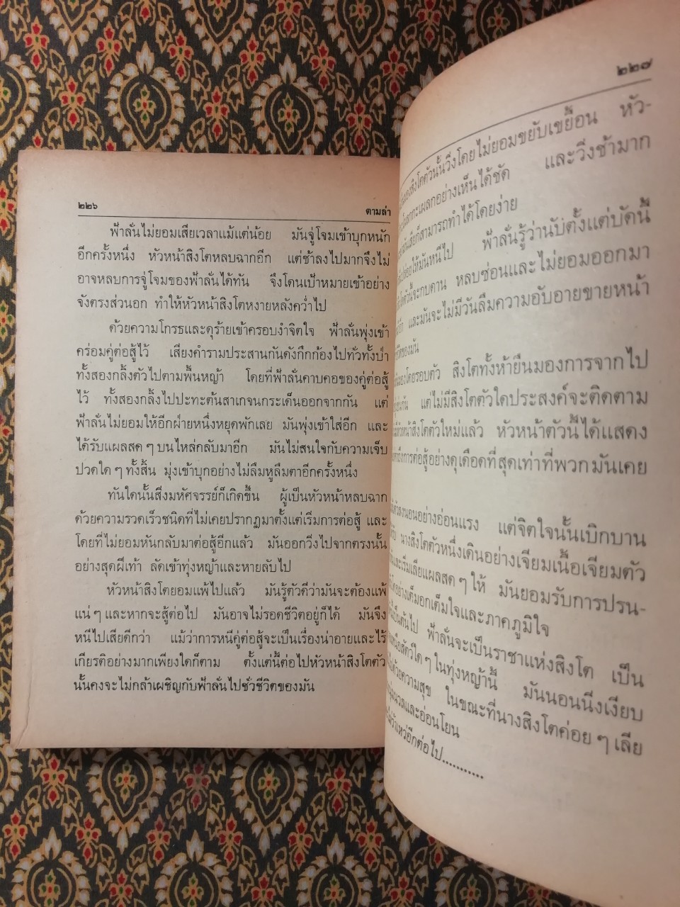 ตามล่า การผจญภัยของสิงห์หนุ่ม Lions on the Hunt