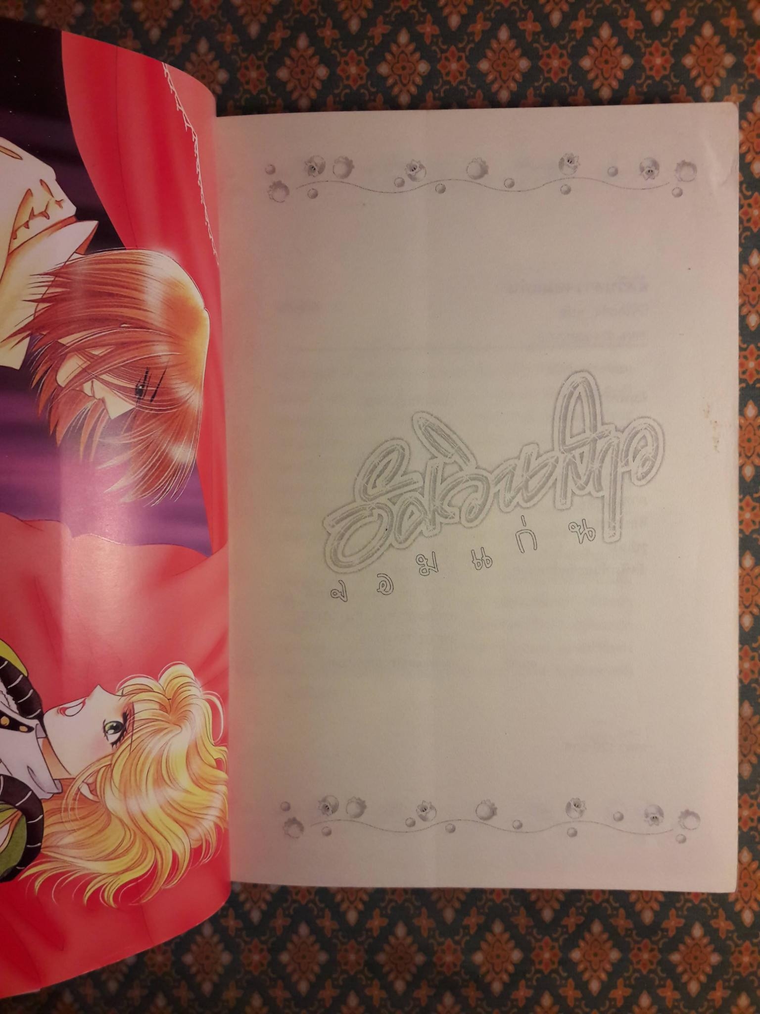 อัศวินสาวจอมแก่น