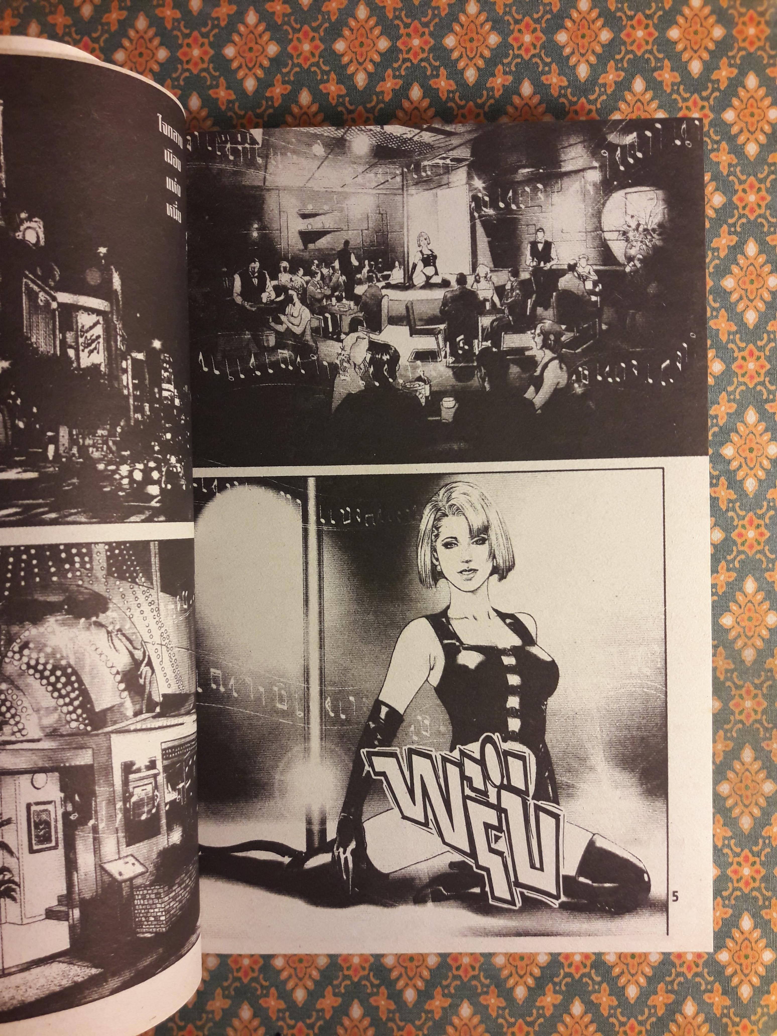 พยัคฆ์ลำพอง Dark (2 เล่มจบ)