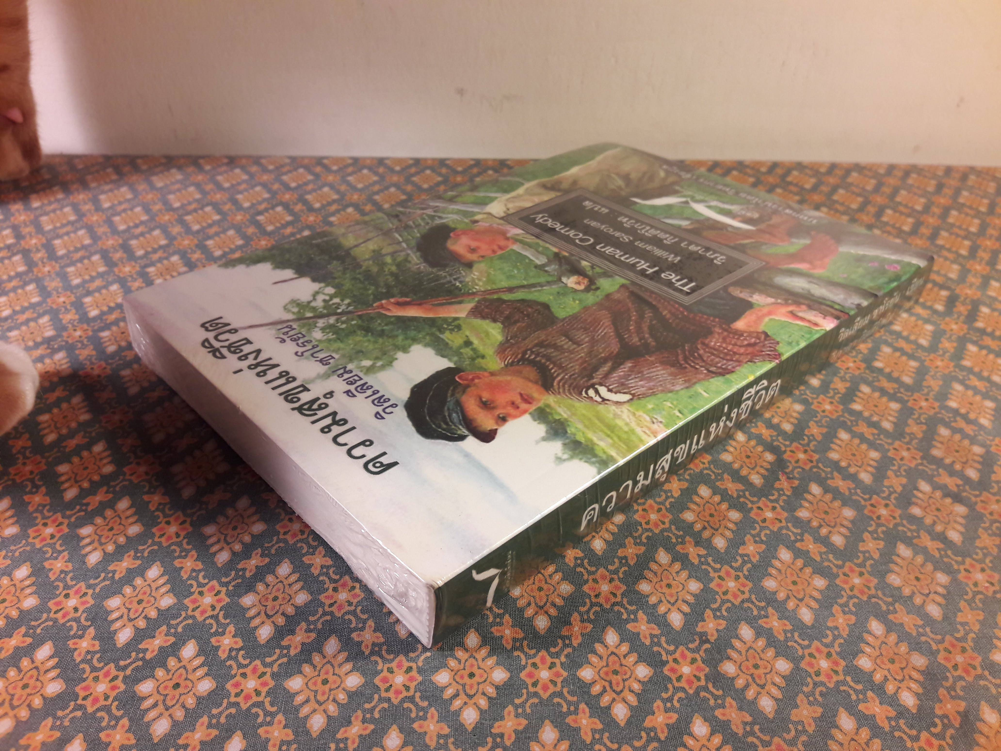 ความสุขแห่งชีวิต The Human Comedy