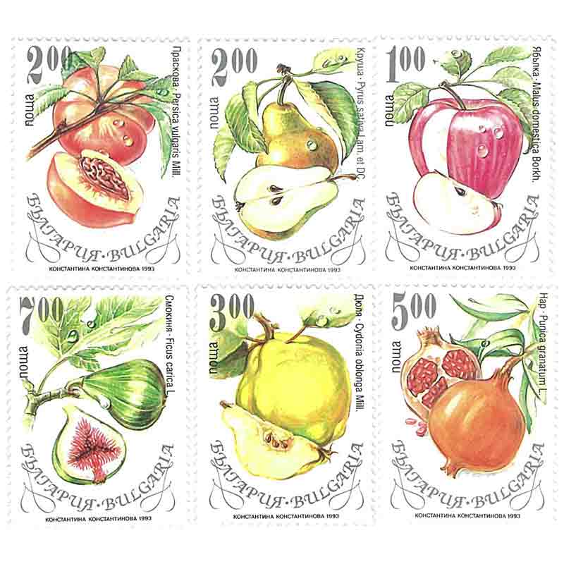 Bulgaria Stamp, 1993 Fruits, Nature, Flower