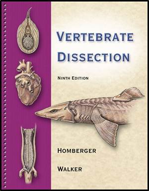 VERTEBRATE DISSECTION