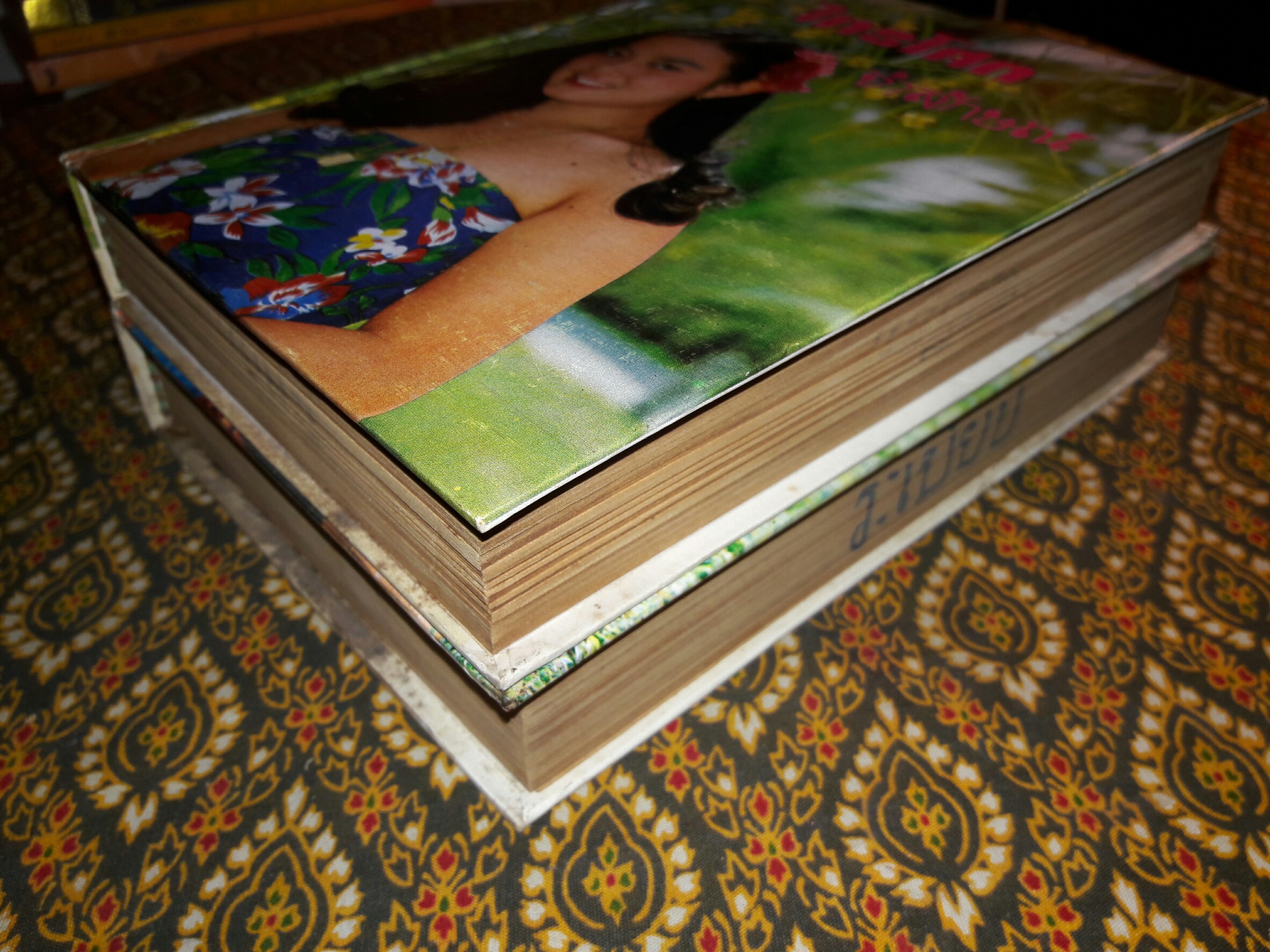 ไทรโศก (2 เล่มจบ)