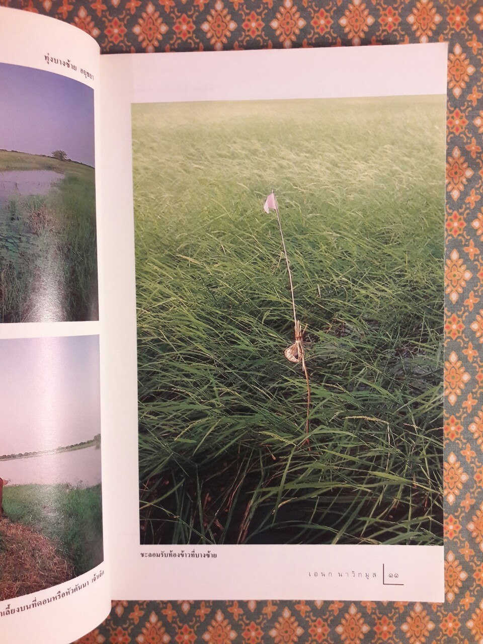 เที่ยวทุ่งเมื่อหน้าน้ำ