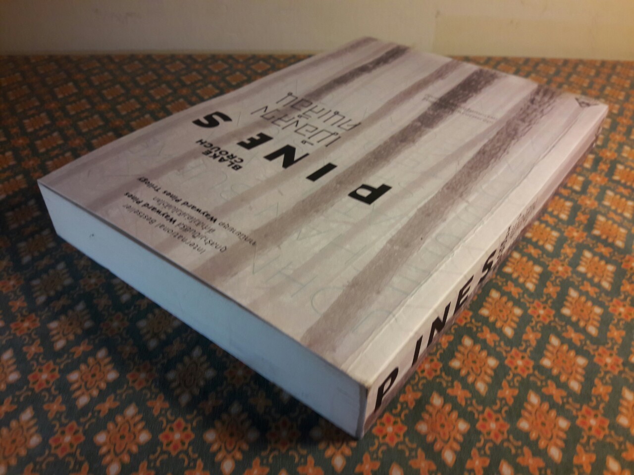 เมืองลวง คนเลือน Pines