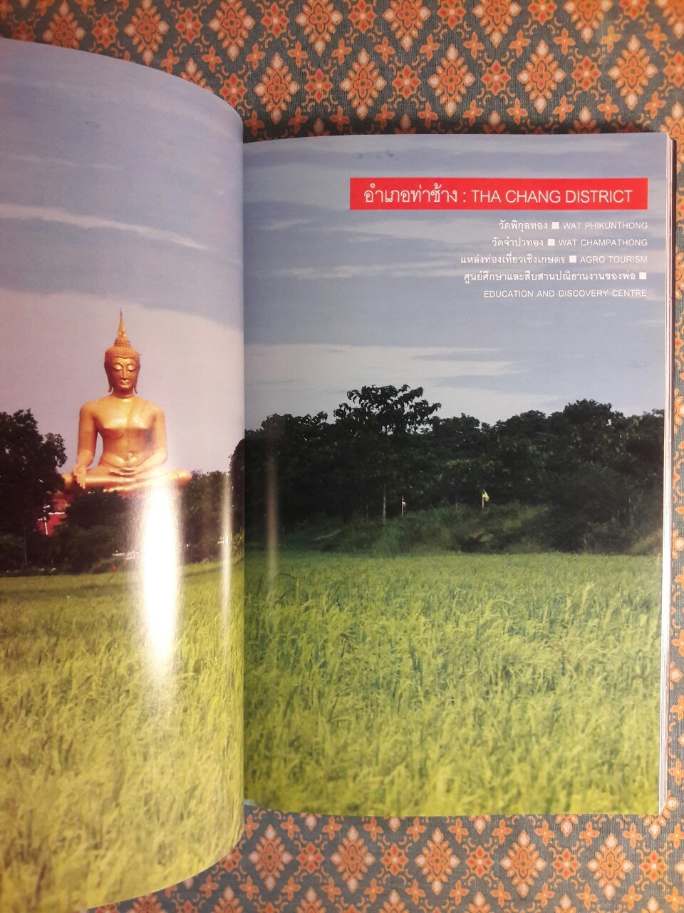 เมืองสิงห์