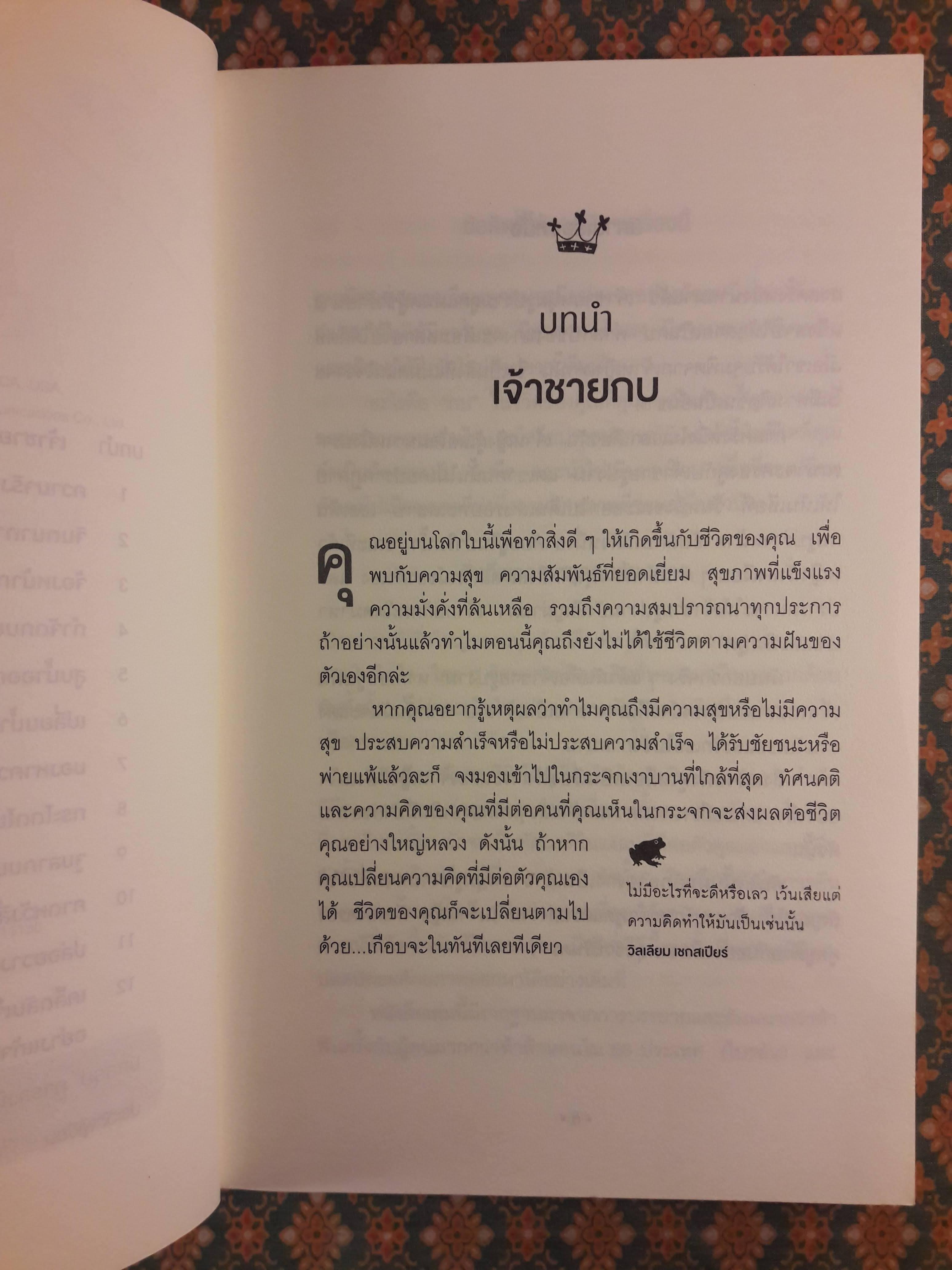 จูบกบตัวนั้นซะ Kiss That Frog!