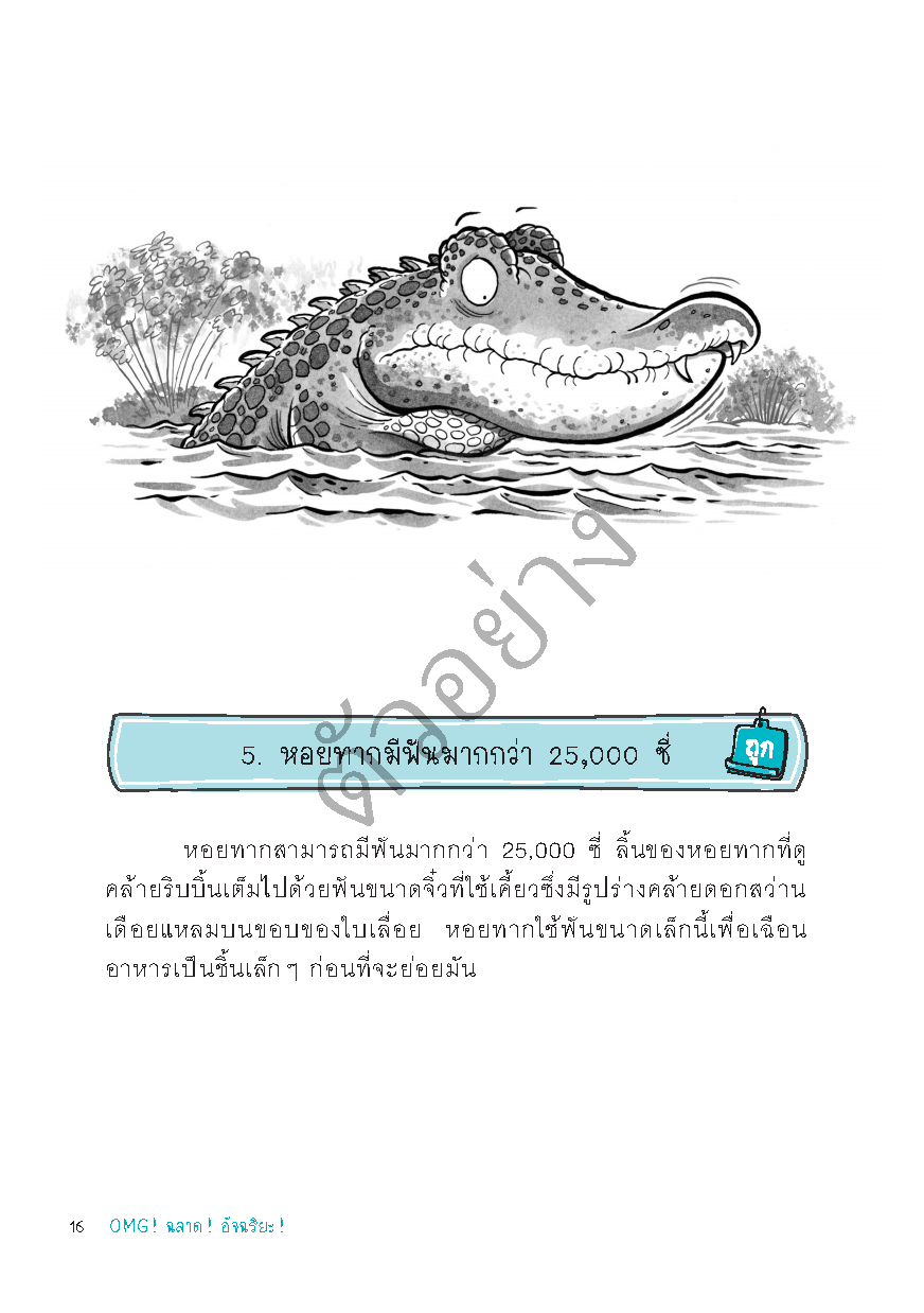 Expernet หนังสือ OMG ! ฉลาด! อัจฉริยะ!