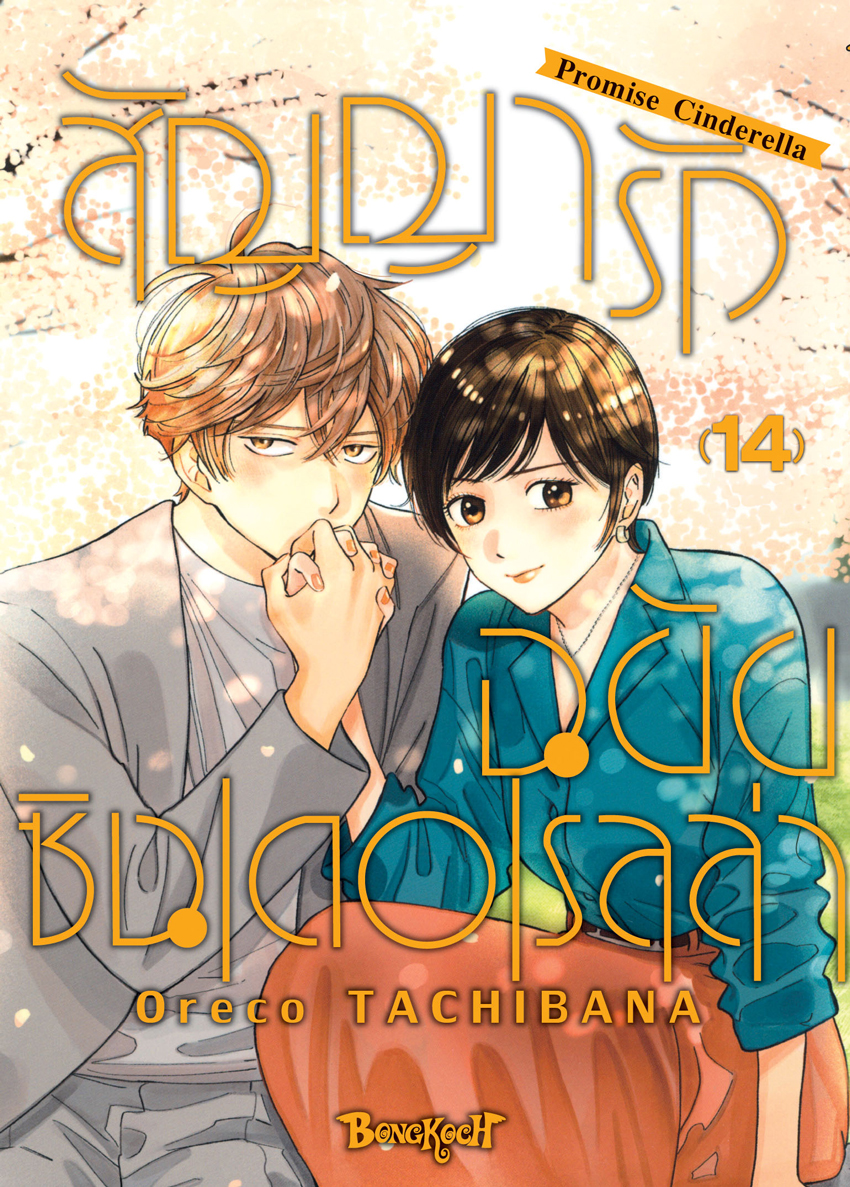 หนังสือการ์ตูนเรื่อง สัญญารักฉบับซินเดอเรลล่า Promise Cinderella เล่ม 14