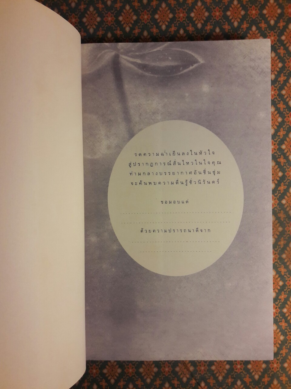 หิมะกลางฤดูร้อน Snow in The Summer