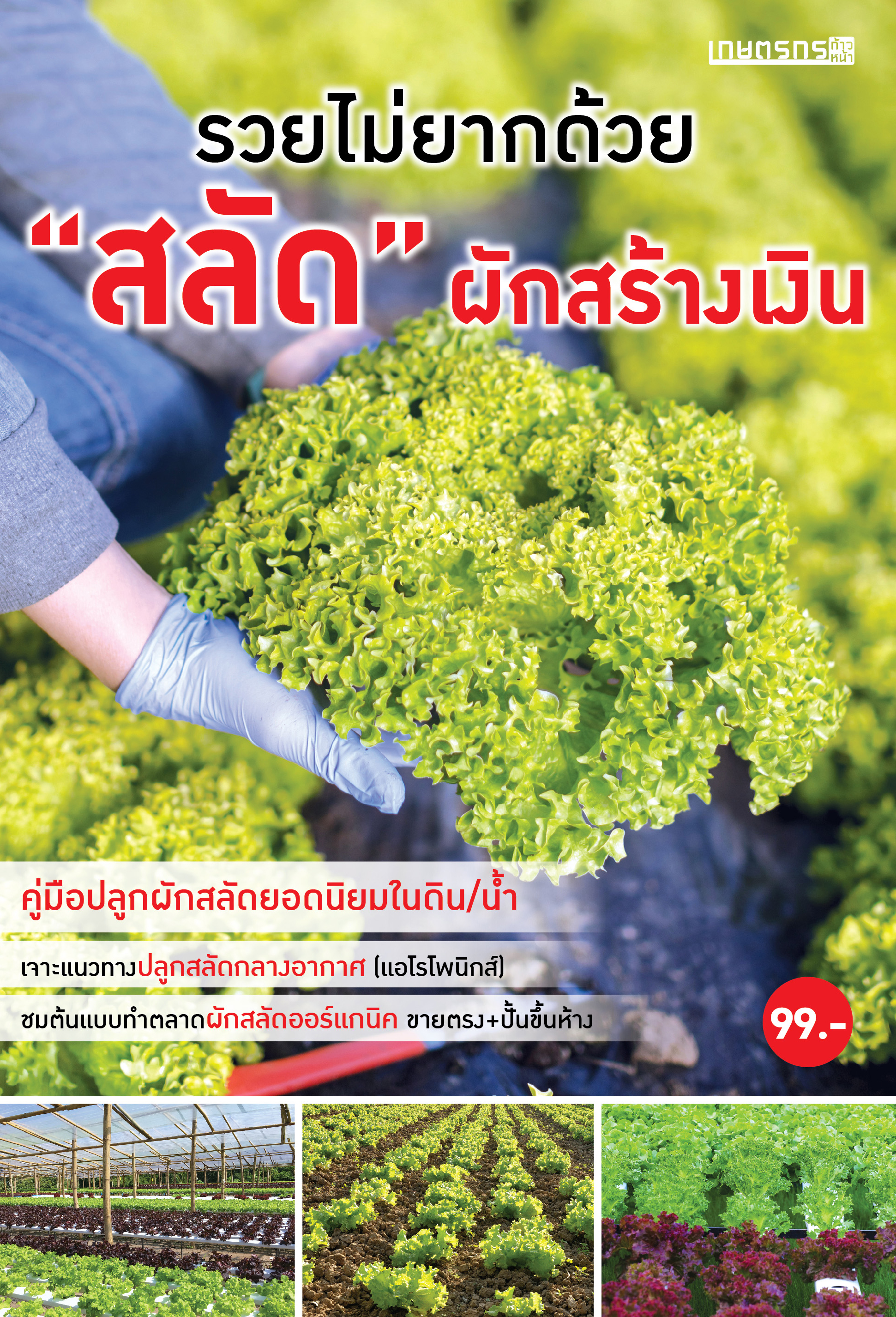 รวยไม่ยากด้วย สลัดผักสร้างเงิน