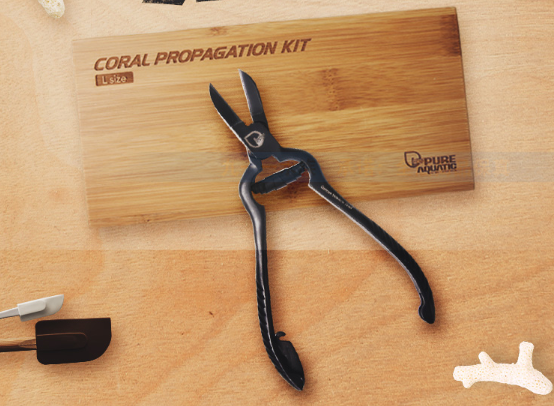 คีมสำหรับตัด SPS 20 CM. Germany stainless steel