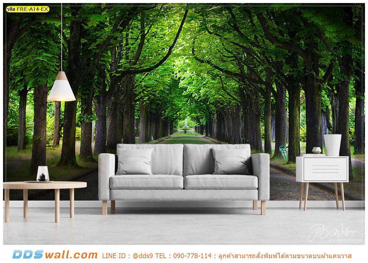 รับติดวอลเปเปอร์พิมพ์ลายภาพเส้นทางวิ่งธรรมชาติ อุโมงค์ต้นไม้ ในฤดูร้อน เพิ่มจุดสนใจในห้องเรียบๆ สั่งพิมพ์ได้ตามขนาด