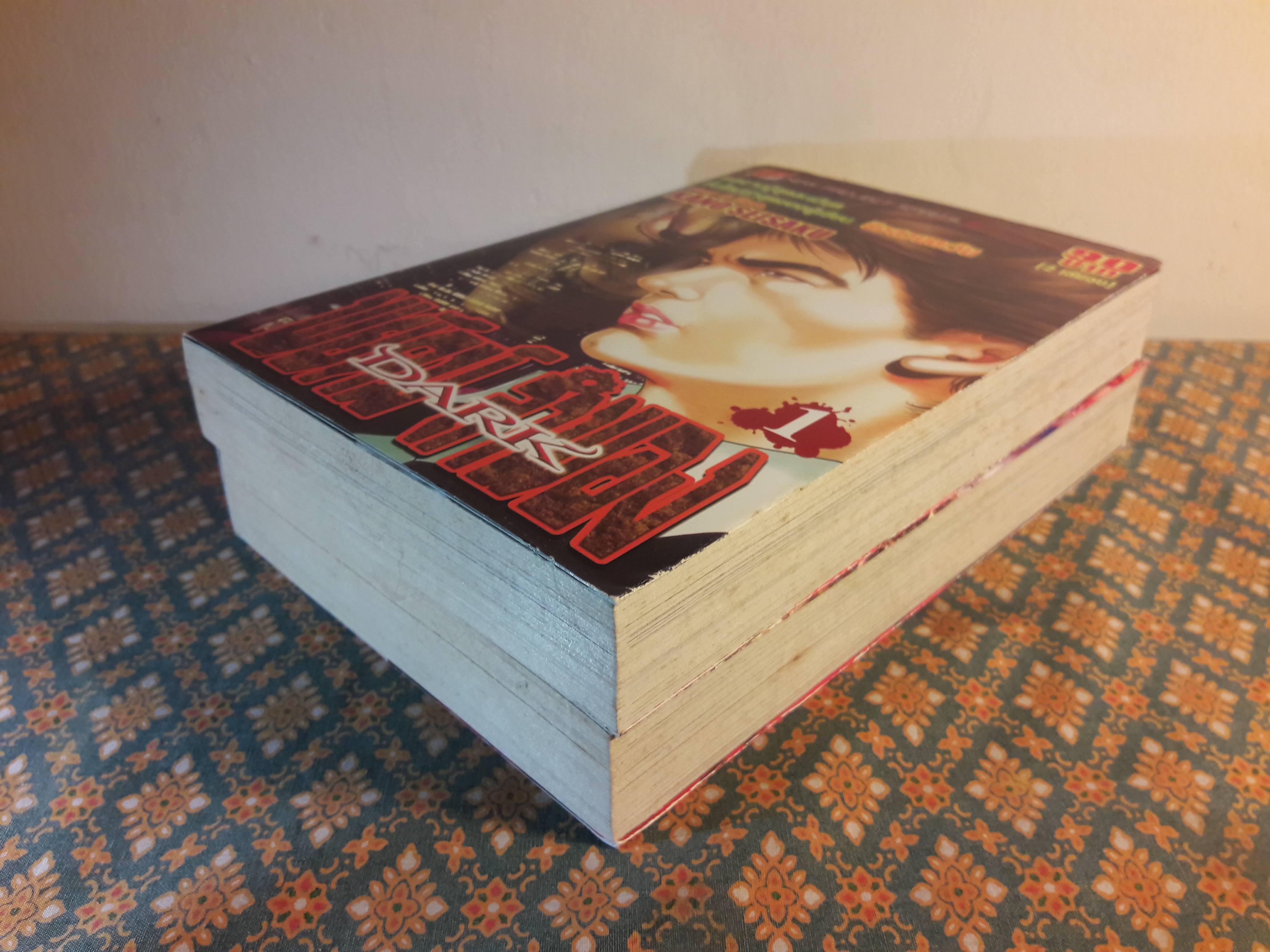 พยัคฆ์ลำพอง Dark (2 เล่มจบ)