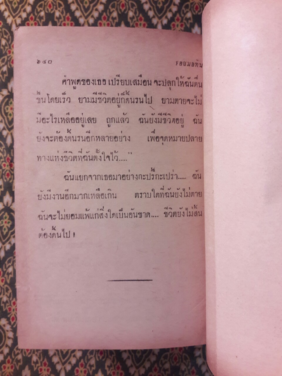 รอยมลทิน (เล่ม 1)