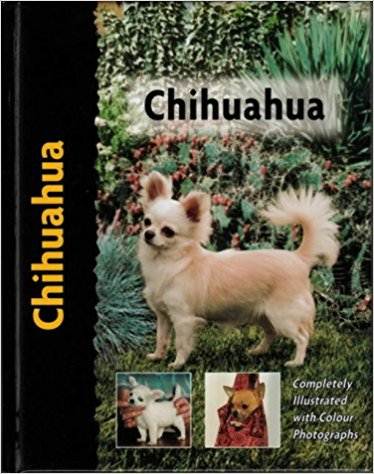 Chihuahua (Pet Love) ISBN 9781902389387