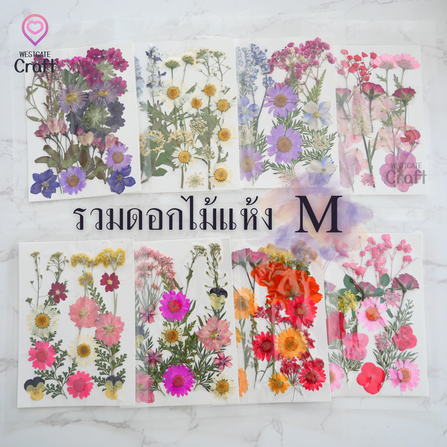รวมดอกไม้แห้ง M ดอกไม้แห้งทับ ดอกไม้แบบคละ