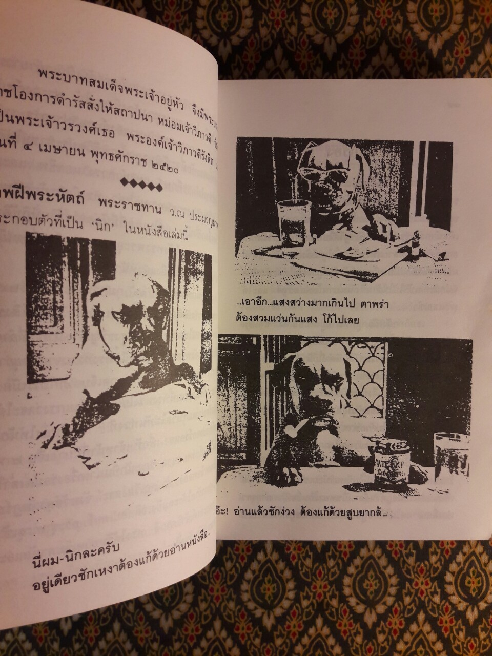 นิกกับพิม