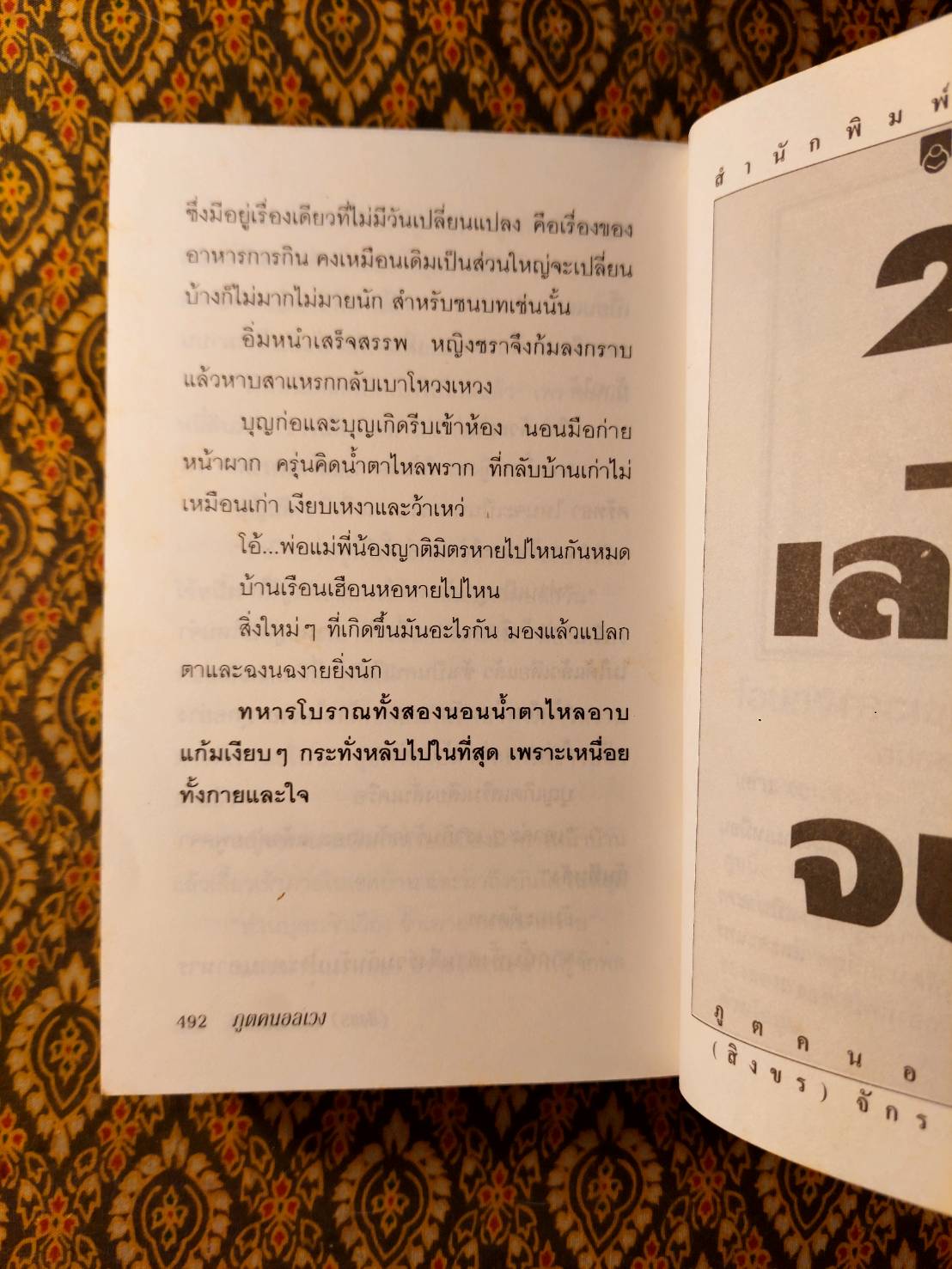 ภูตคนอลเวง (2 เล่มจบ)