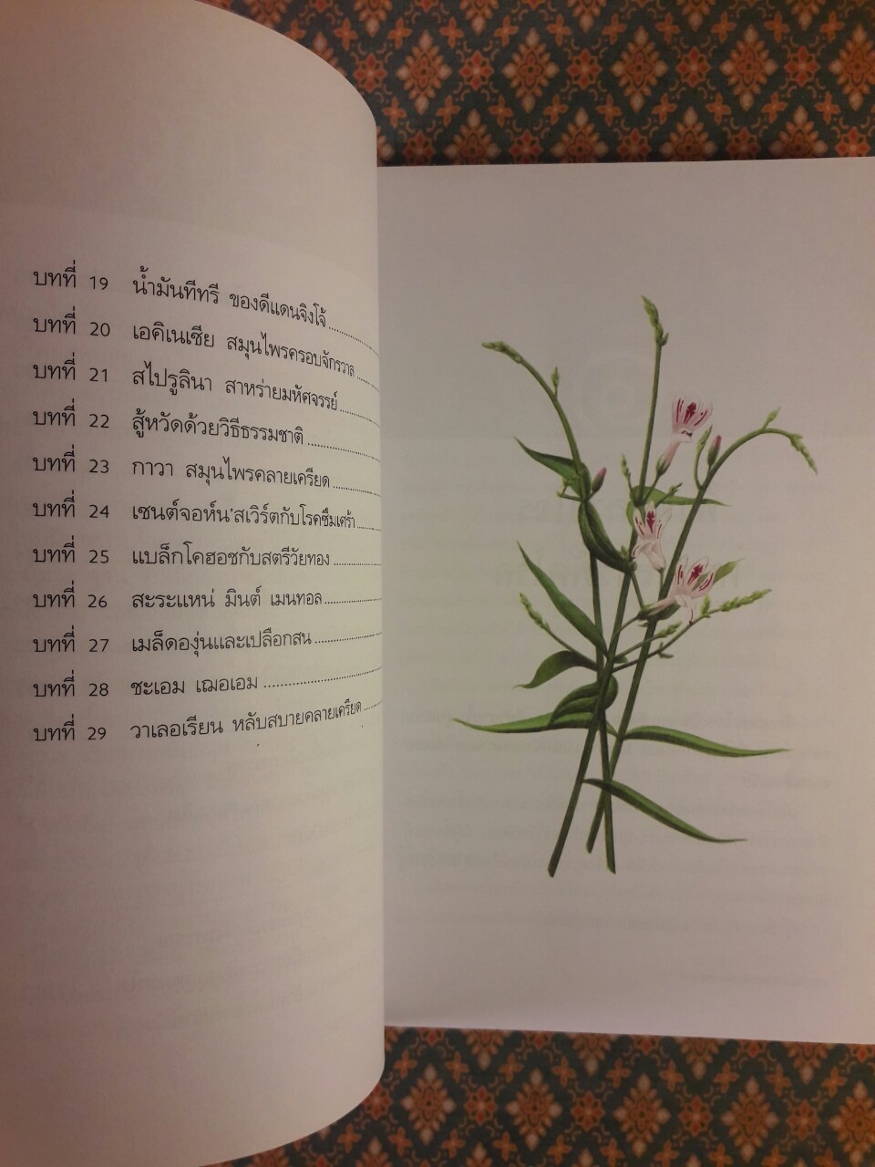 สุดยอดสมุนไพรเพื่อสุขภาพ