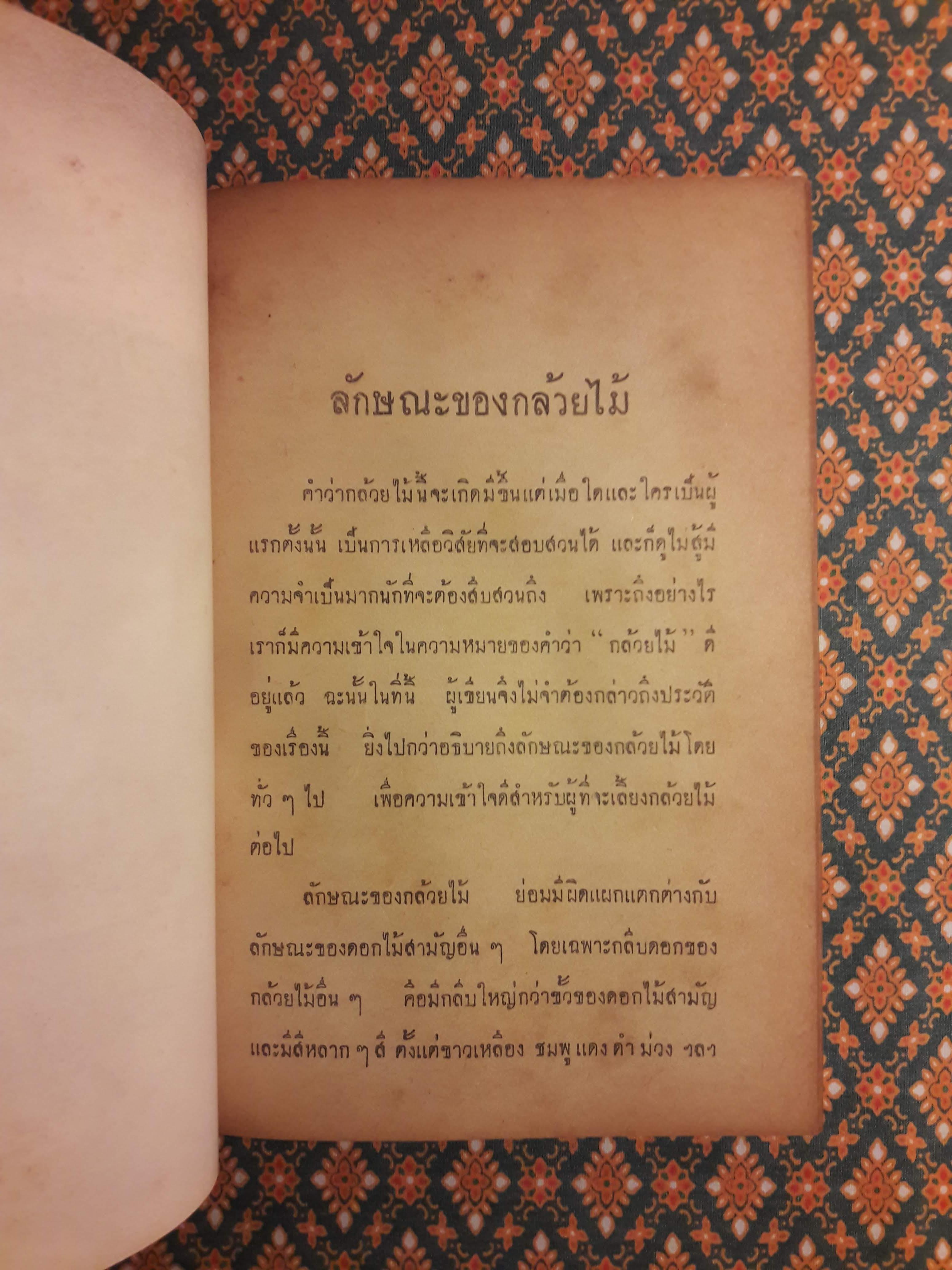 กล้วยไม้