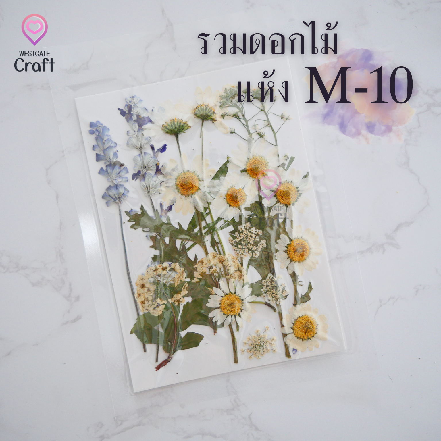 รวมดอกไม้แห้ง M ดอกไม้แห้งทับ ดอกไม้แบบคละ