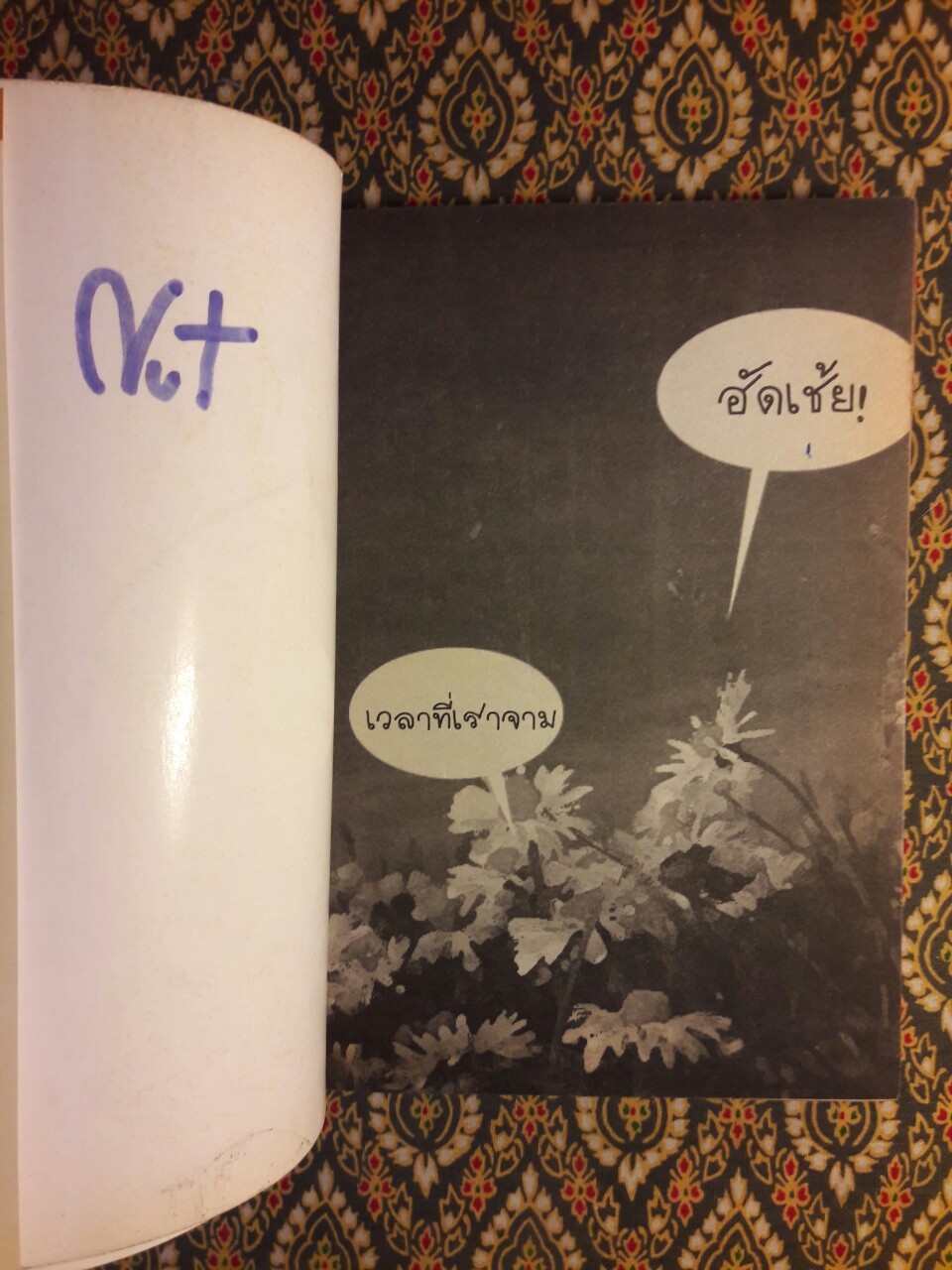 Seasons Change เพราะอากาศเปลี่ยนแปลงบ่อย