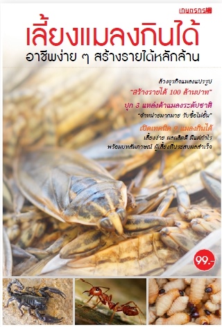 เลี้ยงแมลงกินได้ อาชีพง่ายๆ สร้างรายได้หลักล้าน