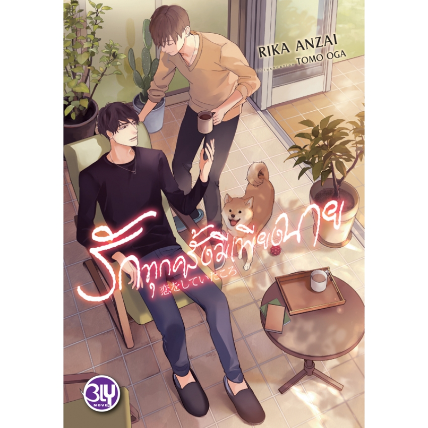 หนังสือนิยาย BLY เรื่อง รักทุกครั้งมีเพียงนาย