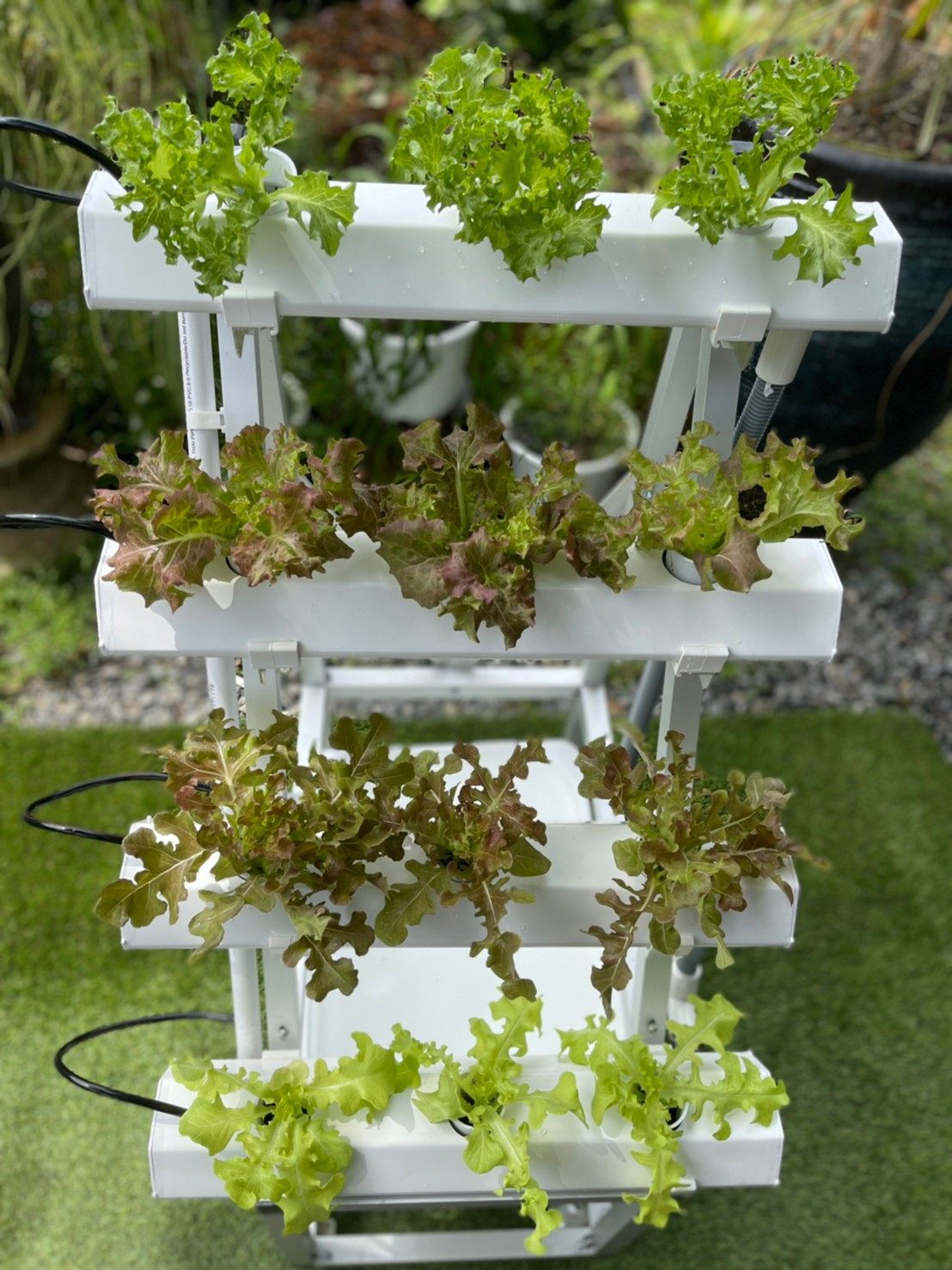 ชุดปลูกผักไฮโดรโปนิกส์แบบล้อเลื่อนขั้นบันไดขนาด 50 cm. จำนวน 4 รางปลูก(ปลูกได้ 12 ต้น)