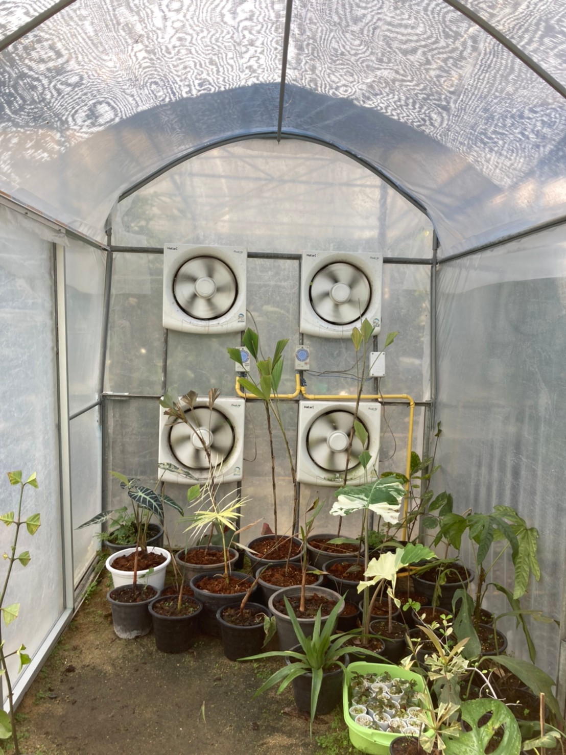 โรงเรือนระบบอีแวป (EVAP) สำเร็จรูป ขนาด 1.6 x 6 เมตร